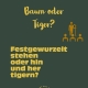 Baum_oder_Tiger